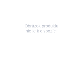Brzdy - FOI100R